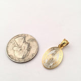 SP-621, Stainless Steel Virgin Maria Pendant-gold or silver color