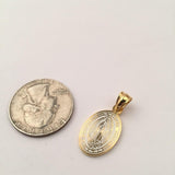 SP-624, Stainless Steel Virgin Maria Pendant-gold or silver color