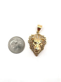 SP-770, Stainless Steel 2 size of Icy Lion Head Pendant-gold or silver color