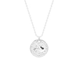 STNW-651, Sterling Silver 12 Constellations Necklace