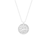 STNW-651, Sterling Silver 12 Constellations Necklace