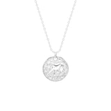 STNW-651, Sterling Silver 12 Constellations Necklace
