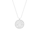 STNW-651, Sterling Silver 12 Constellations Necklace